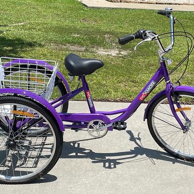 PeXmore Tricycle