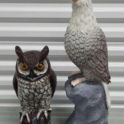 Outdoor Eagle & Owl (1127)