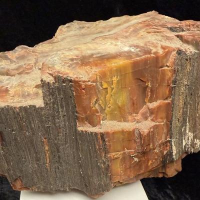 Vintage Petrified Wood