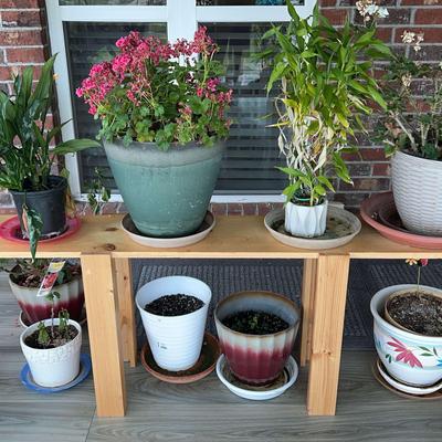 Plants, Pots, and Wooden Stand