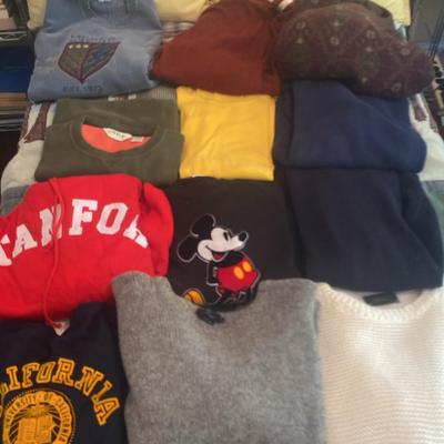 Vintage & Branded Sweatshirts & Sweaters Sizes L and XL, Stanford, Berkeley, & Disney Designs
