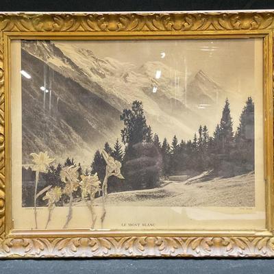 Sale Photo Thumbnail #124