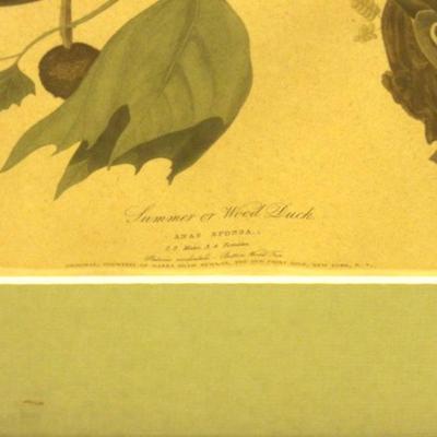 Sale Photo Thumbnail #142