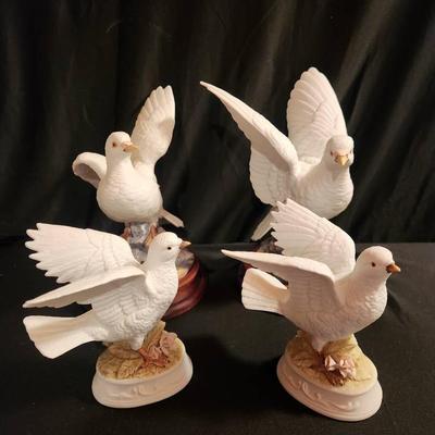 White Doves