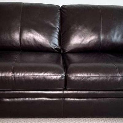 Sleeper Sofa 