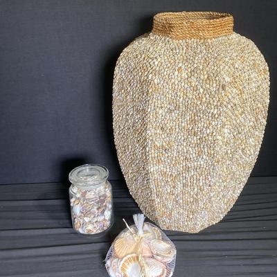 Shells - Decor 