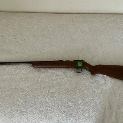 22 g Bolt Action