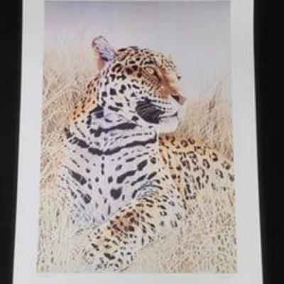 Leopard Signed by Rowe 136/1000