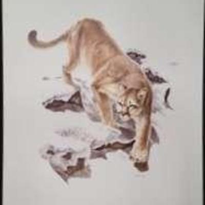 Looking For Prey By Rowe 162/1000