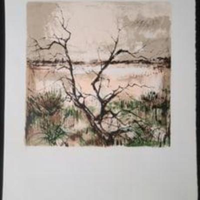 Marsh By P. Letellier Artist Proof