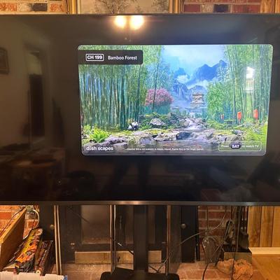 Vizio Model M658-G1 TV And Stand