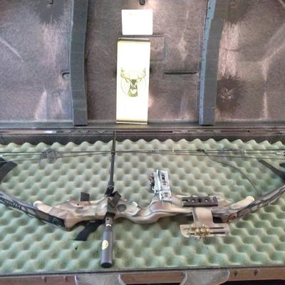 Bear Whitetail 2 Compound Bow With Arrows And Quivers 