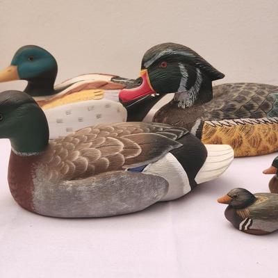 Duck Decoys