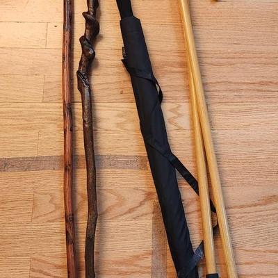 Canes, Walking Sticks And Umbrella 