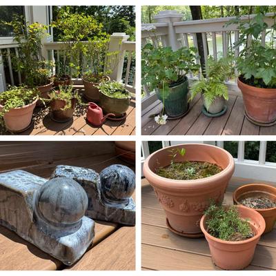 Various Planters (Plants Included) 