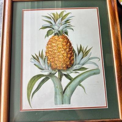 KFA031- Art Print The Black Jamaica Pine By William Hooker