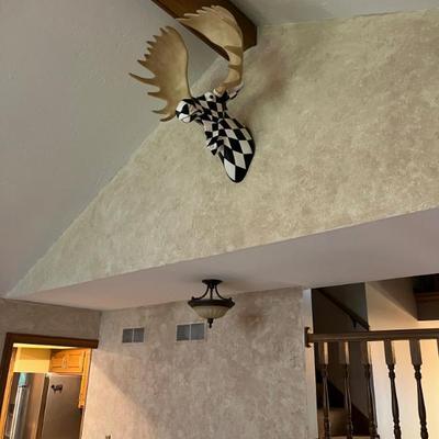 Retired Harlequin Moose Head