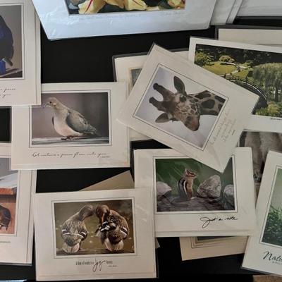 Sale Photo Thumbnail #99