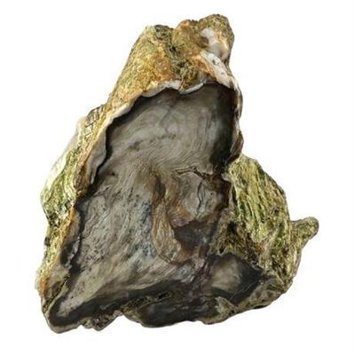 Lot 043   
Large Boulder of Chalcedony