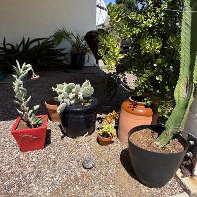 Sale Photo Thumbnail #141