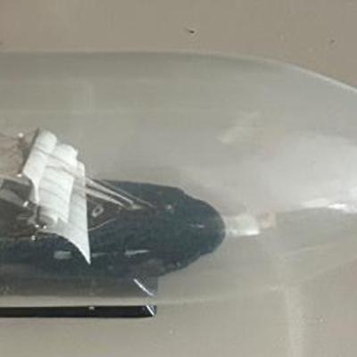 Ship in a Bottle
