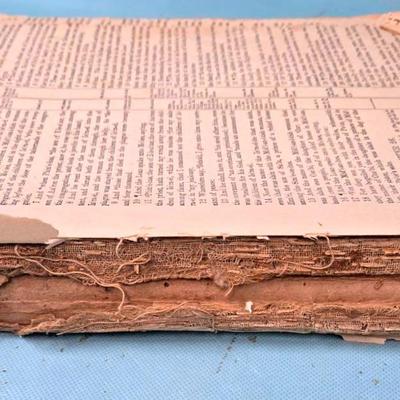 Books of the Bible With Illustrations 