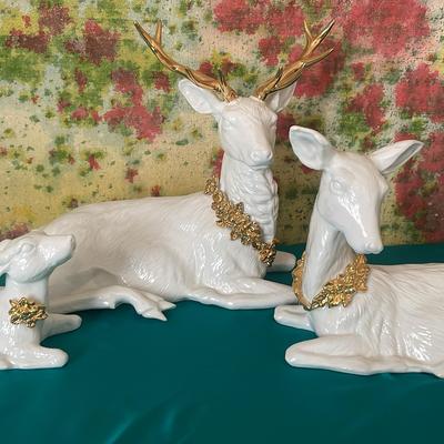 Deer Family At Christmas  