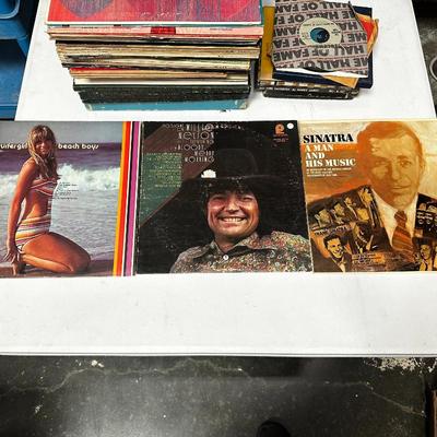 Over 40 Vinyl Records, Various Genres