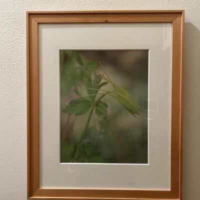 Sale Photo Thumbnail #275