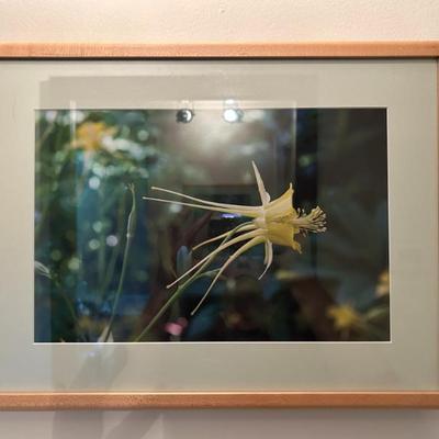 Sale Photo Thumbnail #274