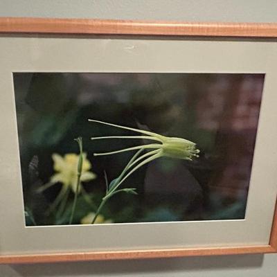 Sale Photo Thumbnail #381