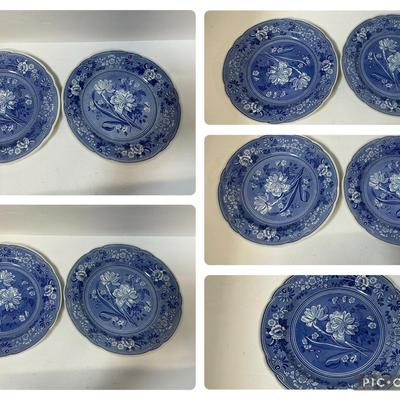 Spode The Blue Room Botanical China Plates Set of 9