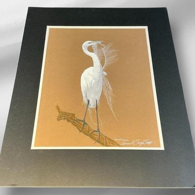 Donna DeMoranville Turgeon “Great Egret Preening” (16 x 20)