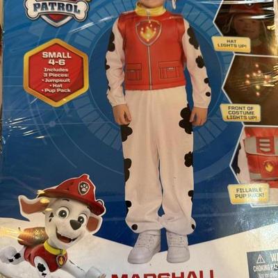 Halloween Costume