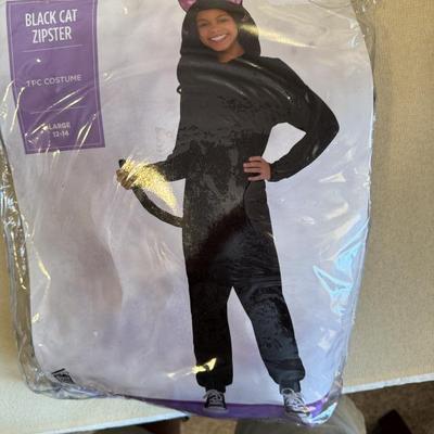 Halloween costume 