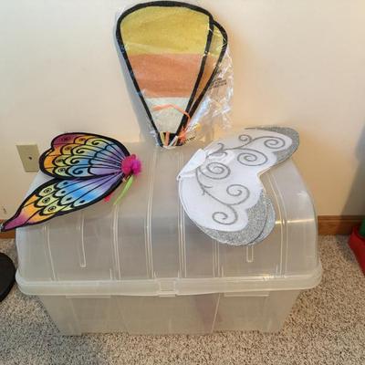 Costume wings