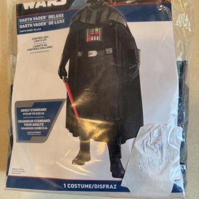 Halloween costume 