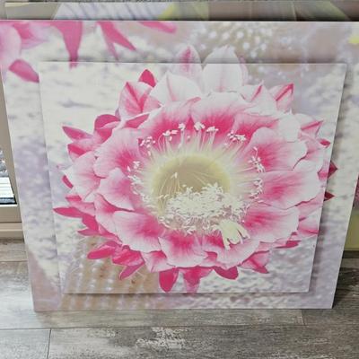 Sale Photo Thumbnail #119