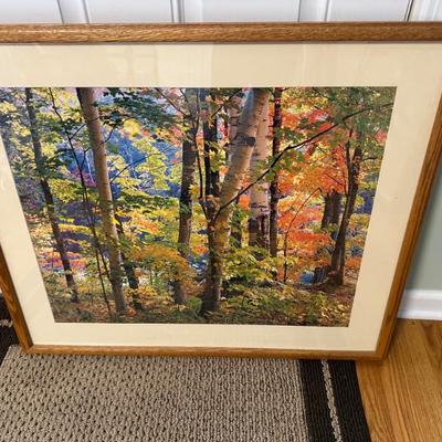 Sale Photo Thumbnail #164