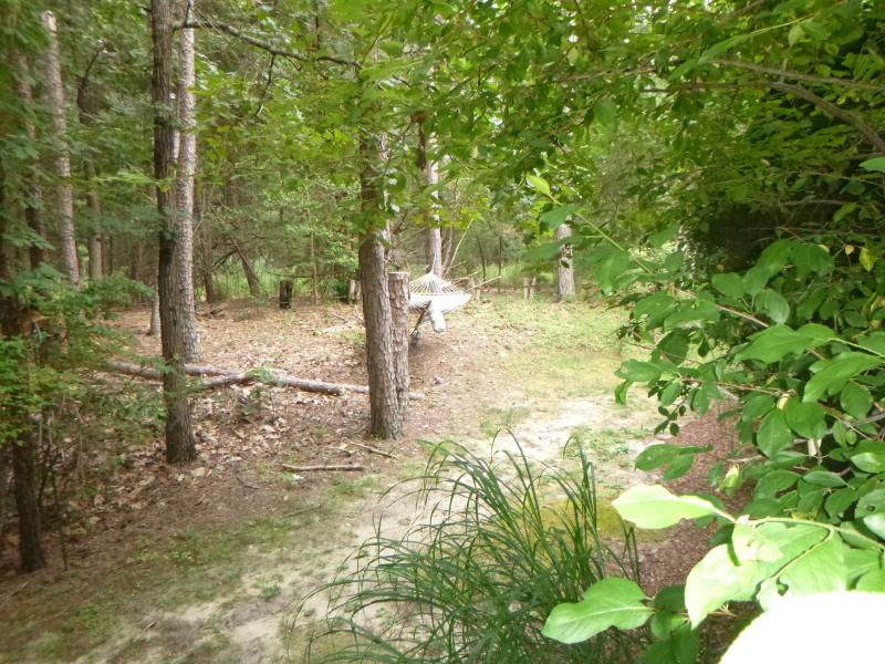 Sale Photo Thumbnail #19