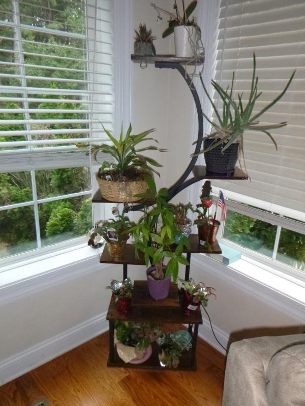 Sale Photo Thumbnail #55