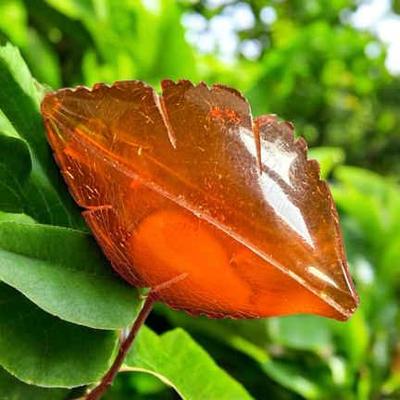 Carved amber pin