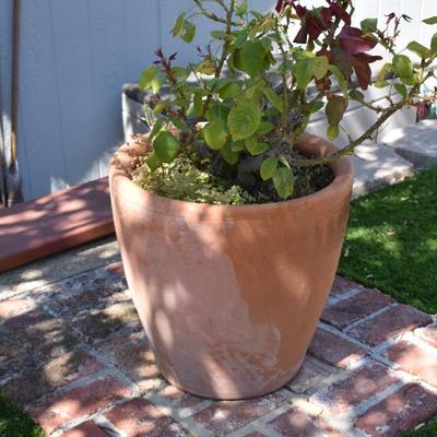 Sale Photo Thumbnail #386