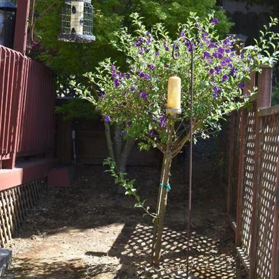 Sale Photo Thumbnail #348
