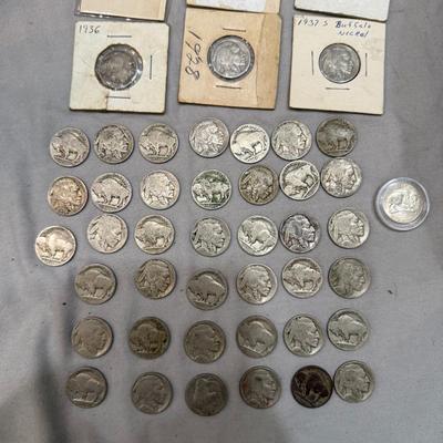 Buffalo Nickels 