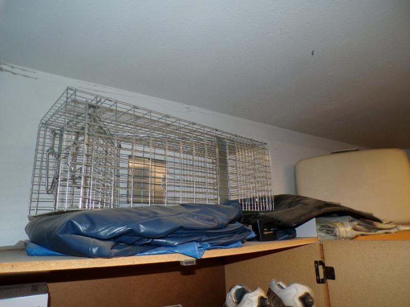 Sale Photo Thumbnail #167