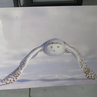 Sale Photo Thumbnail #31
