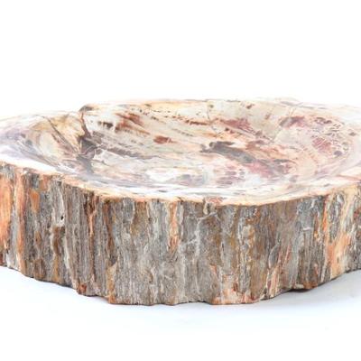 Sale Photo Thumbnail #246: Lot 245 gorgeous heavy petrified wood slab