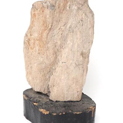 Sale Photo Thumbnail #264: Lot 263 large mounted section of petrified wood