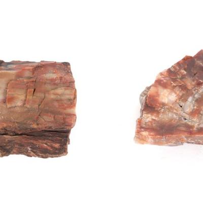 Sale Photo Thumbnail #262: Lot 261 two pieces of red fossilized wood